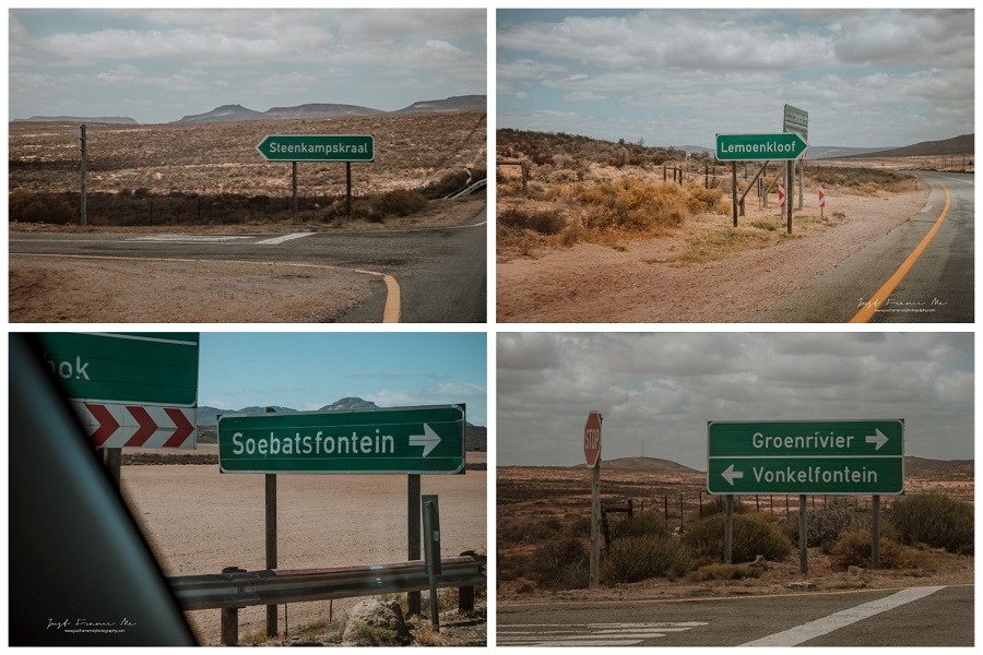 springbok 6jpg