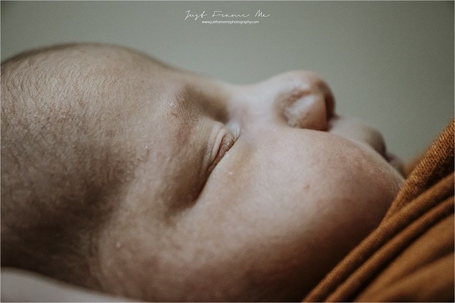 The Du Toit Family {A Fresh 48 Session}